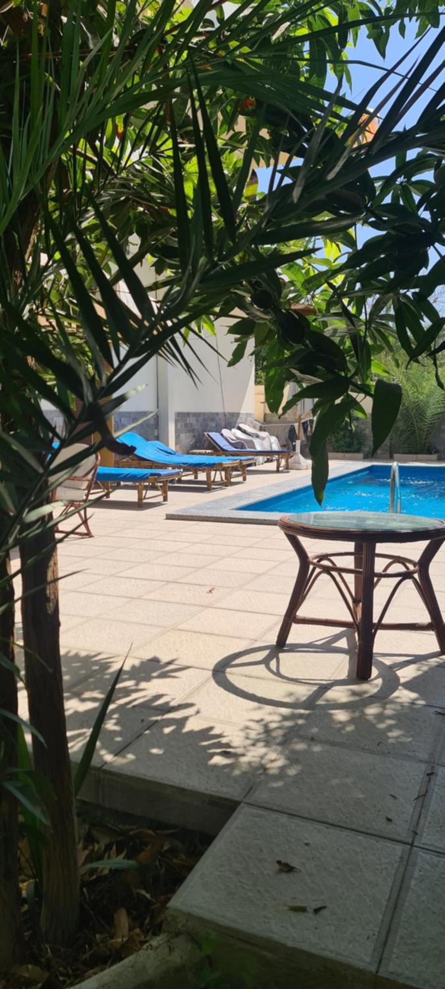 Senmut Luxory Luxor