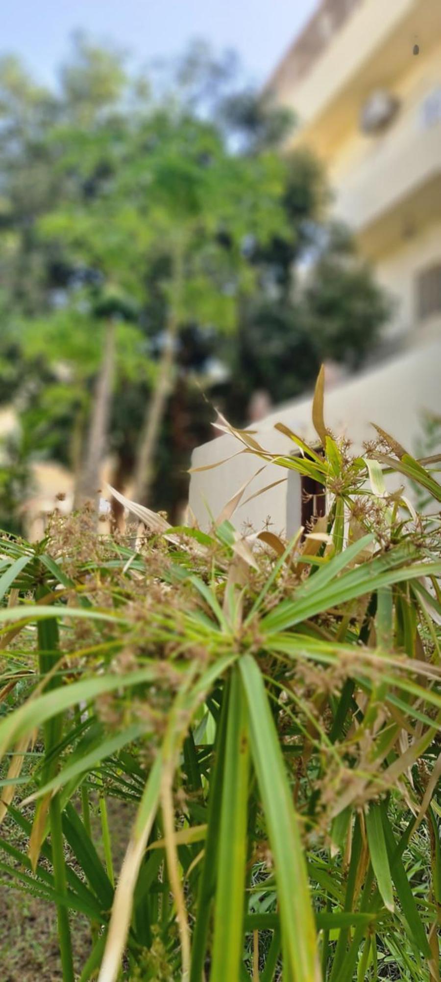 Apartment Senmut Luxory *