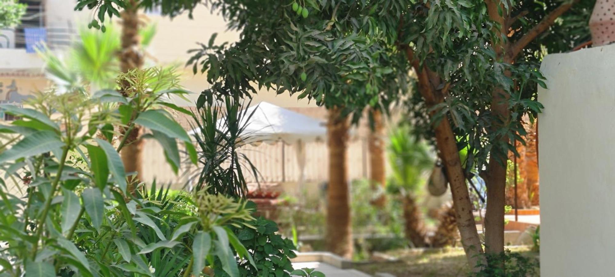 Apartment Senmut Luxory