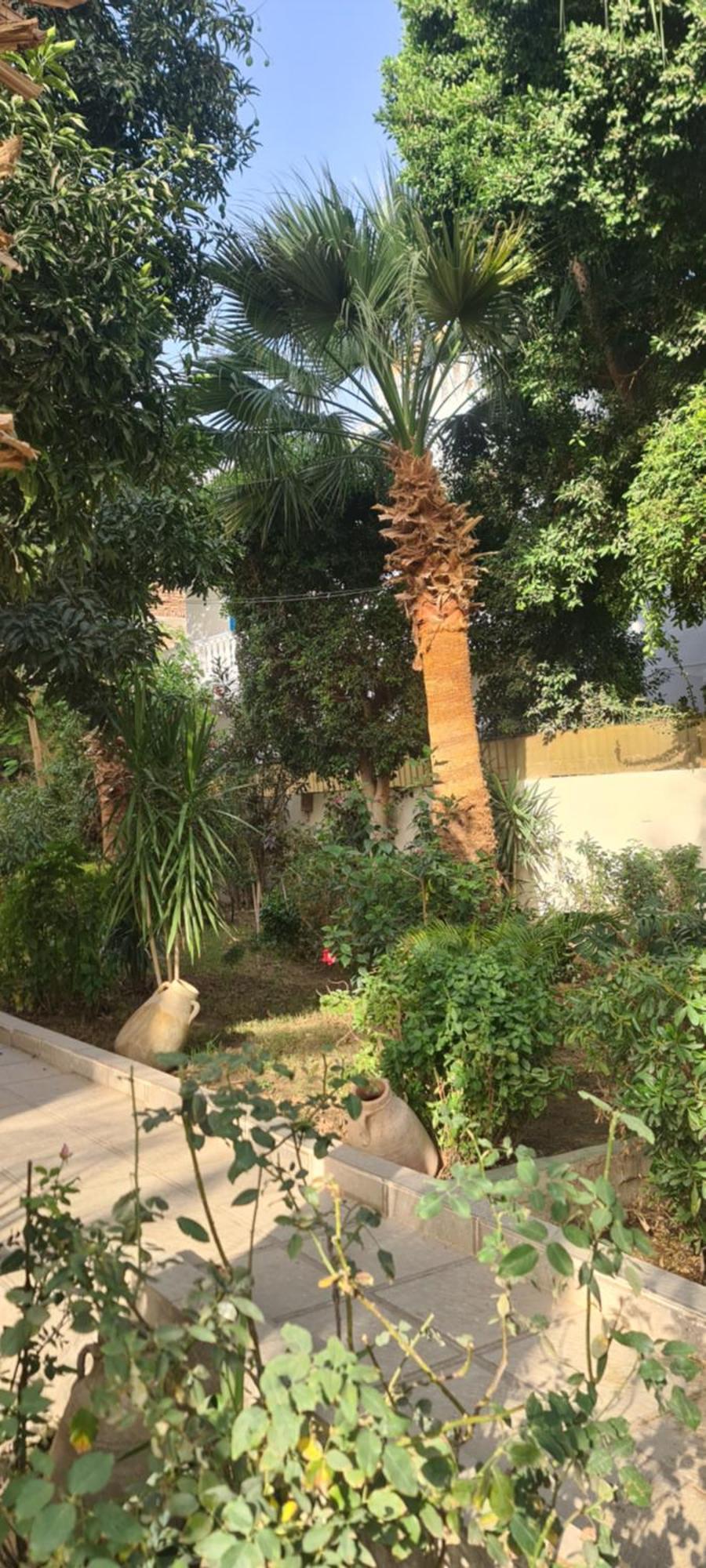 Apartment Senmut Luxory *