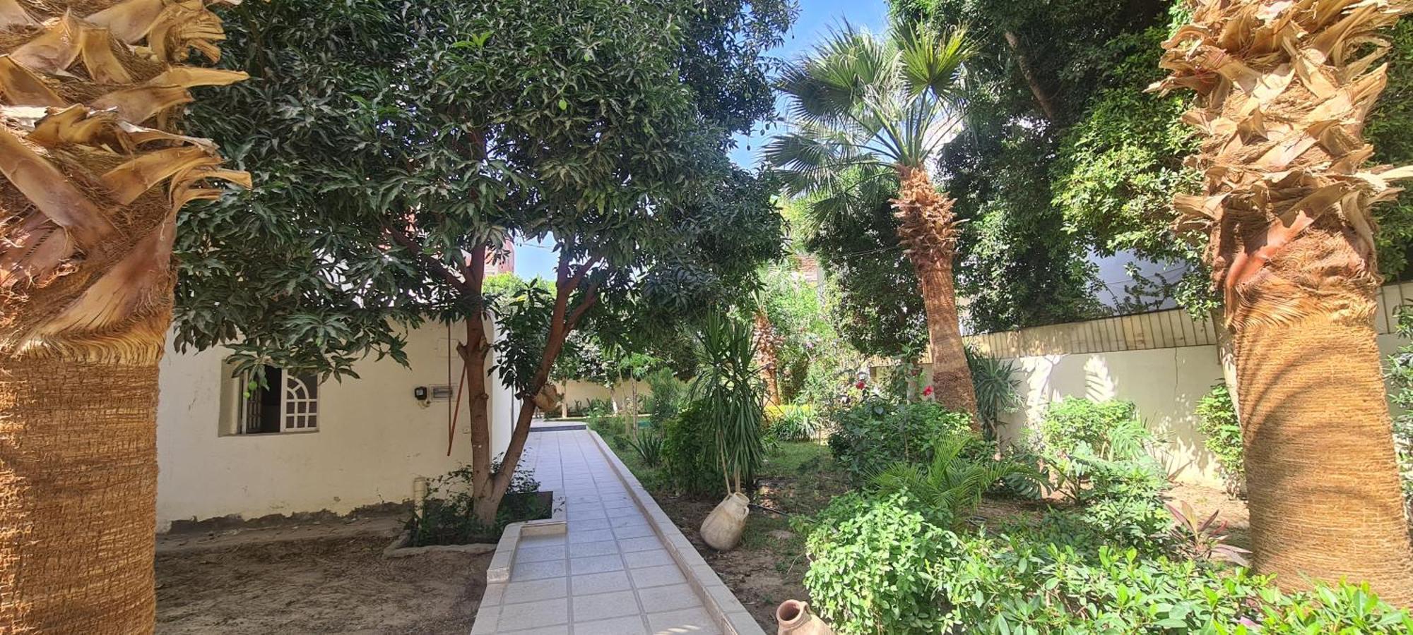 Senmut Luxory Apartment Luxor
